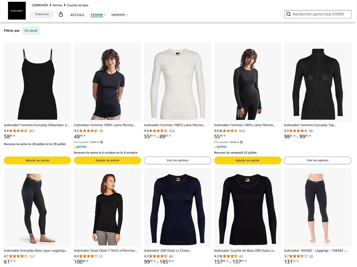 Icebreaker Amazon case study
